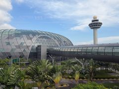 -樟宜机场皇冠假日酒店 （SG Clean） - IHG 旗下酒店