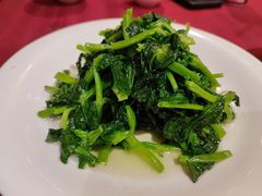 酒香豆苗-老吉士酒家(天平路店)