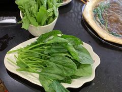 -芦月轩羊蝎子(北蜂窝店)