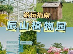 -上海辰山植物园