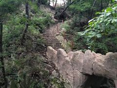 -天女山森林公园