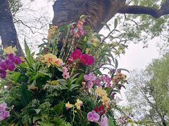 -人民公园(罗湖区)