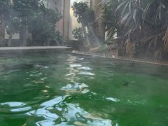 -仁爱团泊湖温泉中心