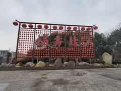 -合肥滨湖国家森林公园