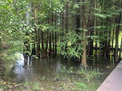 -溱湖国家湿地公园