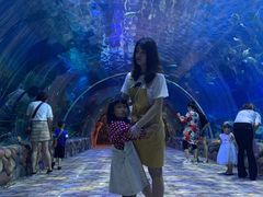 -华夏文旅海洋公园