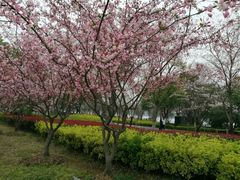 -石湖景区
