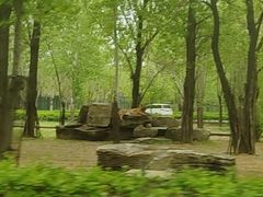 -秦皇岛野生动物园