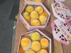 -南汇水蜜桃采摘(大团店)