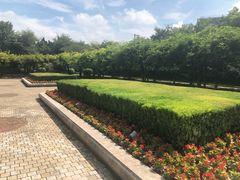 -嘉定紫藤园