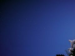 -中华石雕艺术园