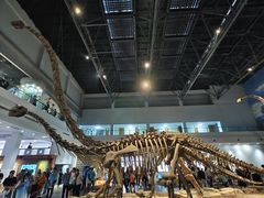 -自贡恐龙博物馆