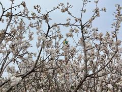 -观澜湖生态运动公社