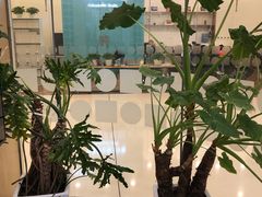 -固瑞齿科(国贸门诊店)