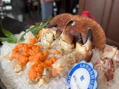 -东海怡品海鲜豆捞(舟宿夜江店)