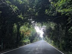 -泗洪洪泽湖湿地景区