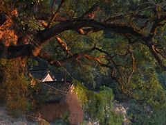 -杨家堂村