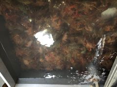 -段氏龙虾(原草高支路店)