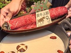 -大龙燚·旷野鲜火锅(广州首店)