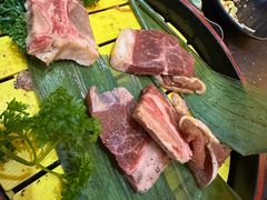 -熊出没日本烧肉放题