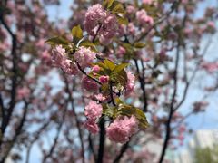 -西北湖绿化广场