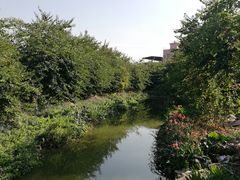 -黄埔古港
