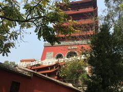 -梵天禅寺