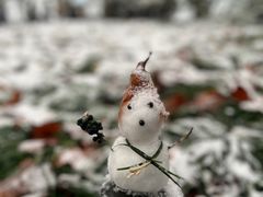 -北山街历史文化街区