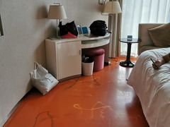 -深圳东部华侨城瀑布酒店