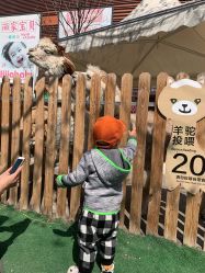 -萌宠亲子动物乐园(槐房万达店)