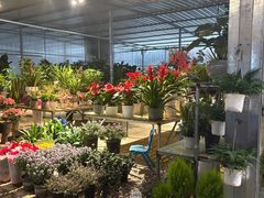 -三圣花乡旅游区