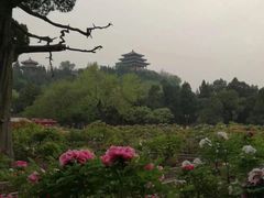 景点-景山公园