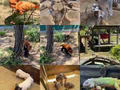 -大连森林动物园