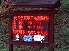 -牛背梁国家森林公园