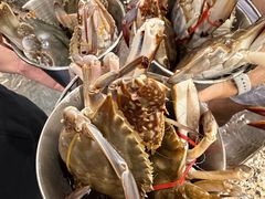 -初色海鲜自助(万丰路店)
