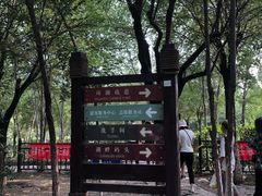 -西青郊野公园
