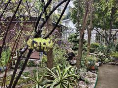 -凤来栖·净庭院·火锅(欧尚店)