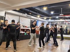-温鉴良实用咏春拳