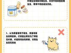 -美联众合动物医院·24h转诊中心