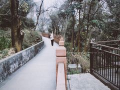 -大渡口区义渡公园