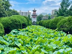 -四川大学(华西校区)