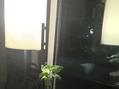 -花迹(富春江东街店)