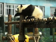 -大连森林动物园