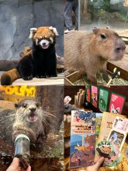 -Zoolung Zoolung动物主题公园(海信广场店)