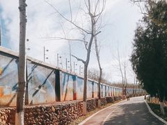 -云岗森林公园