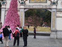 -常德桃花源景区