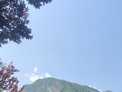-少华山国家森林公园