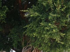 -梅州天地人花园酒店(梅县人民广场店)