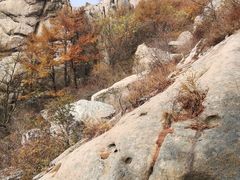 -崂山巨峰游览区