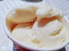 冰淇淋-望乡楼上海菜(日月光店)